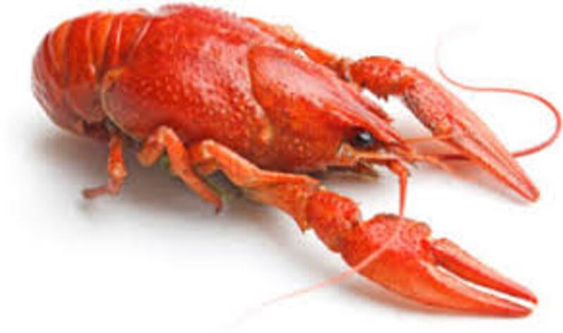 Crawfish