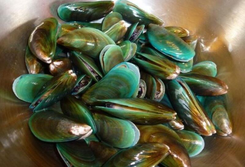 Green Mussel